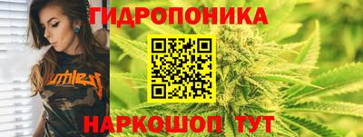 MDMA Можга